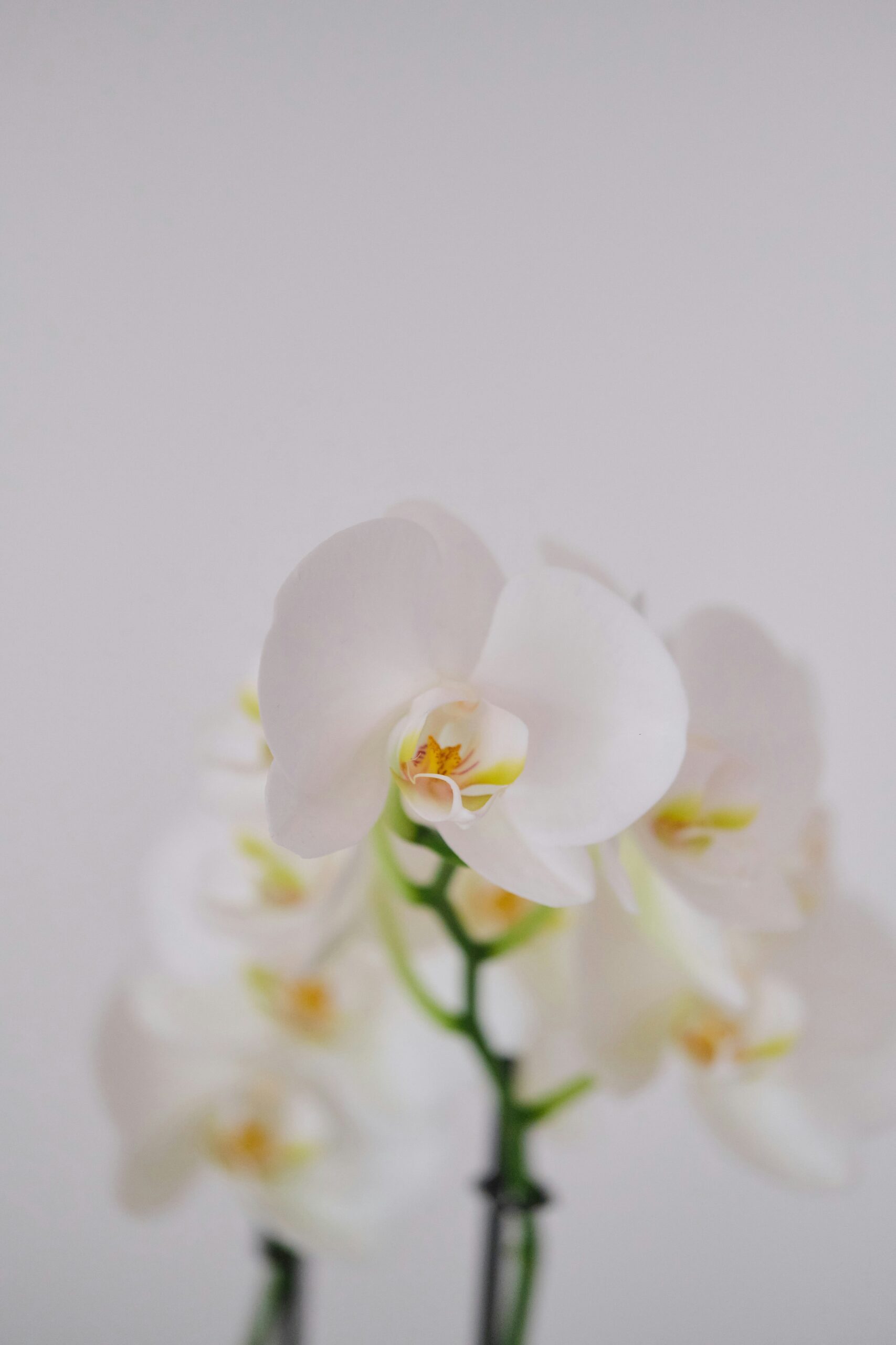 Hello world!